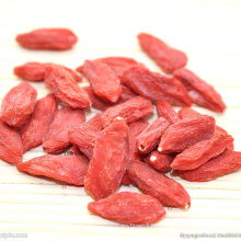 Baie de fruit de Goji certifiée biologique de haute qualité pour les aliments sains